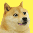 Doge tile value 1024