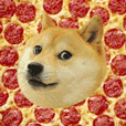 Doge tile value 16