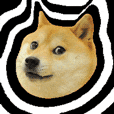 Doge tile value 256