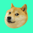 Doge tile value 2